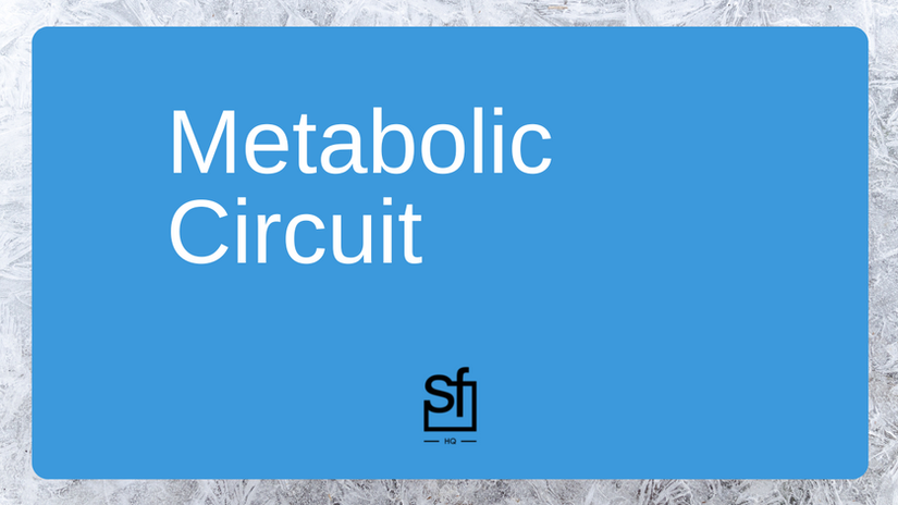 Metabolic Circuit